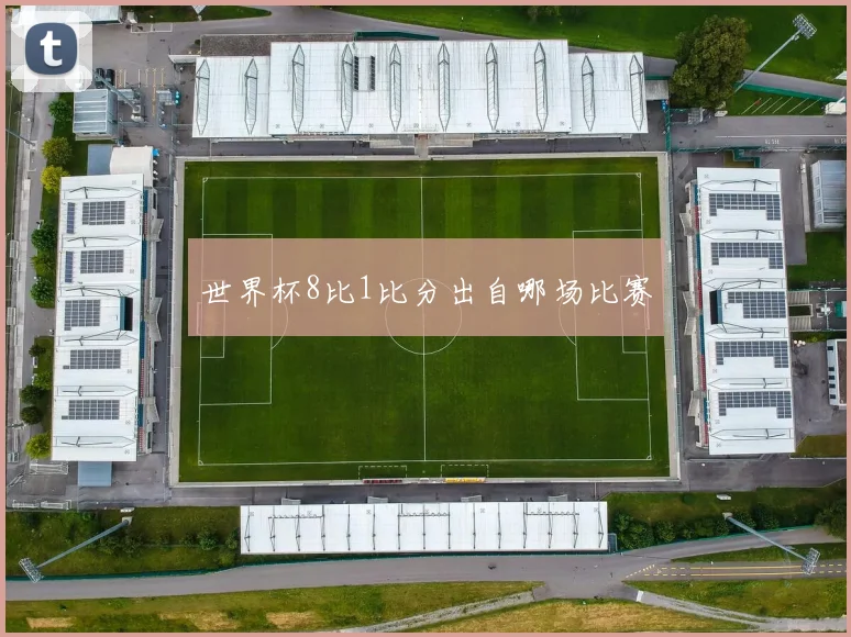 世界杯8比1比分出自哪场比赛